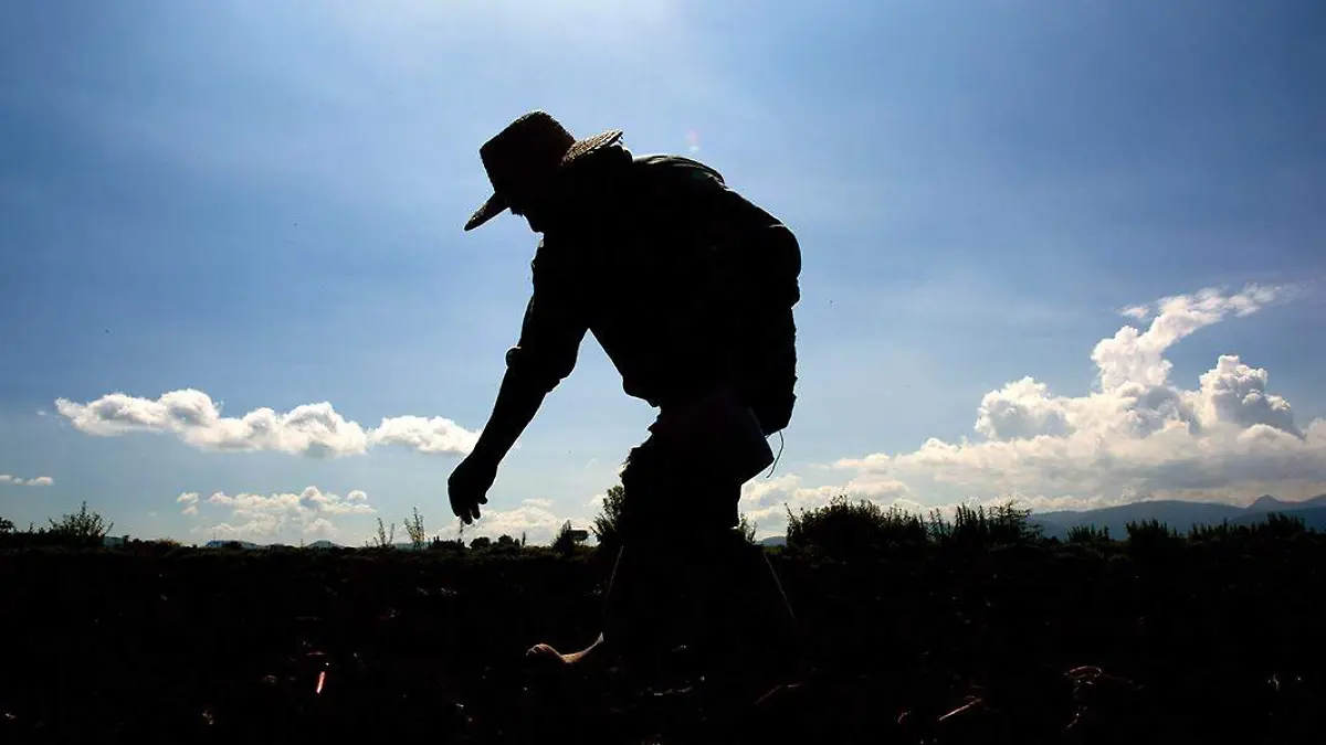 campesino en el campo sembrando